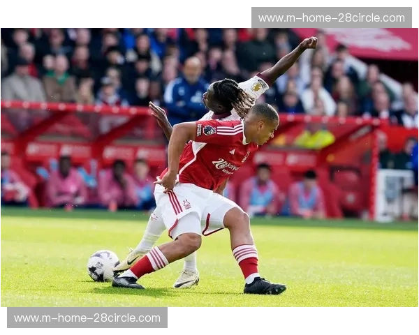 曼城主场对森林场均净胜三球以上 进攻火力全面压制