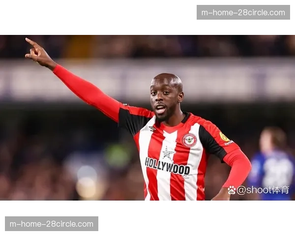 维萨十二场仅一球入账 高龄溢价伤病缠身成纽卡沉重负担